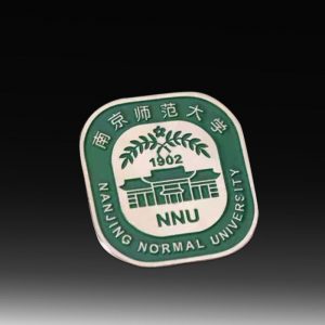 university-school-badge-pins